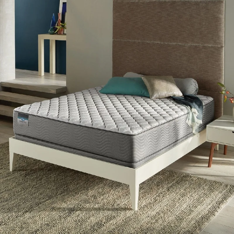 BeautySleep Julia 11-inch Firm Full-size Innerspring Mattress Set - N/A