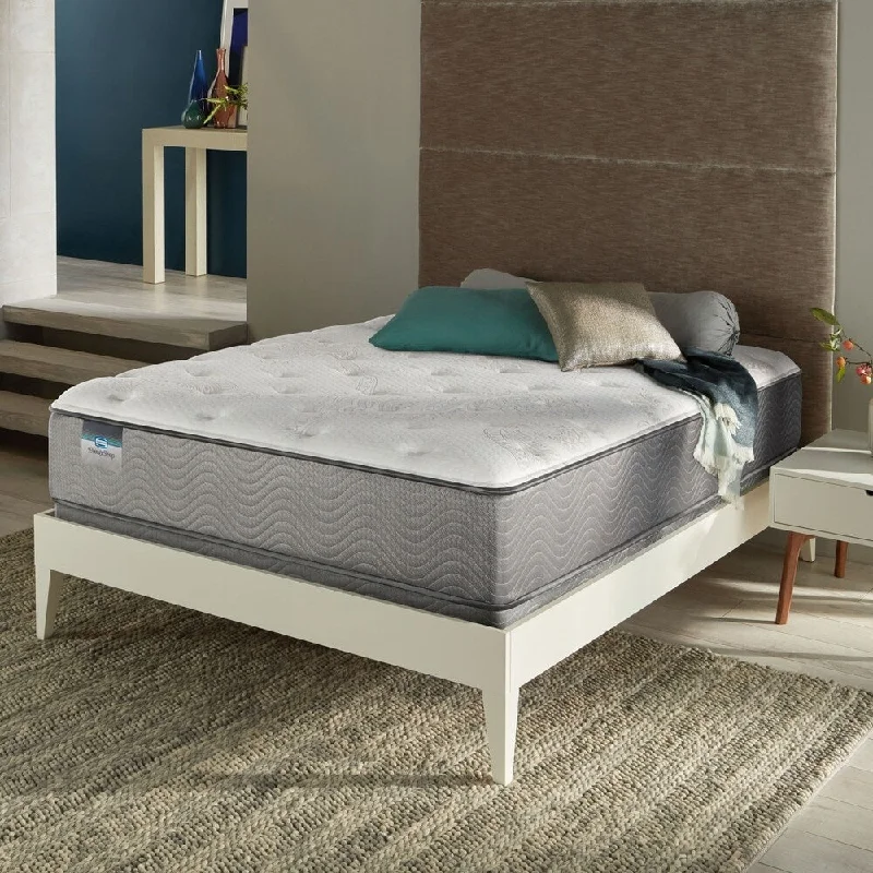 BeautySleep Kerri 12" Luxury Full-size Firm Innerspring Mattress Set - N/A