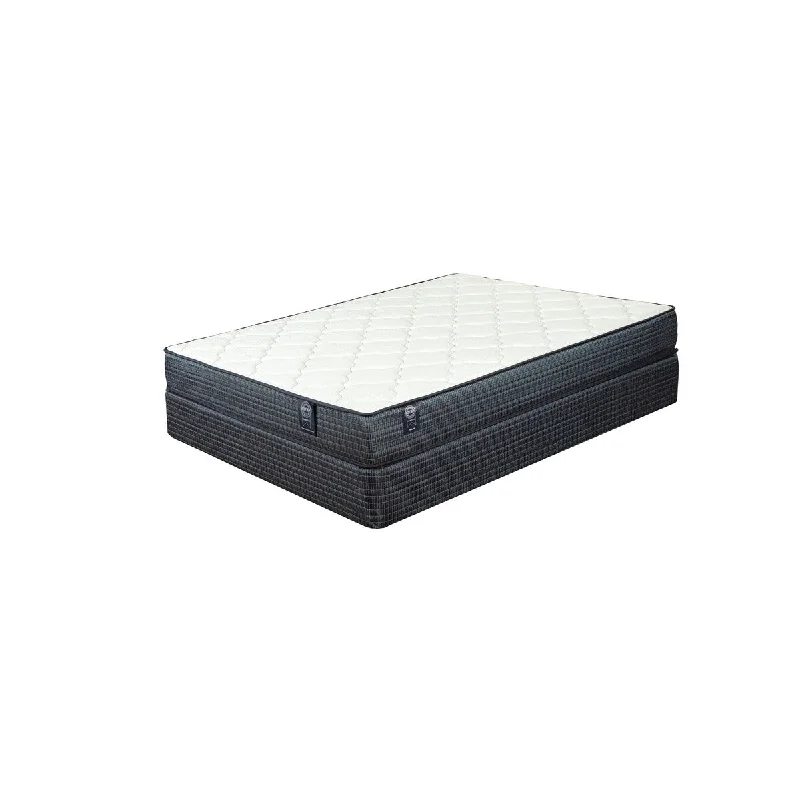 Comfort Care Brookfield 9 in. Plush Mattress By Restonic