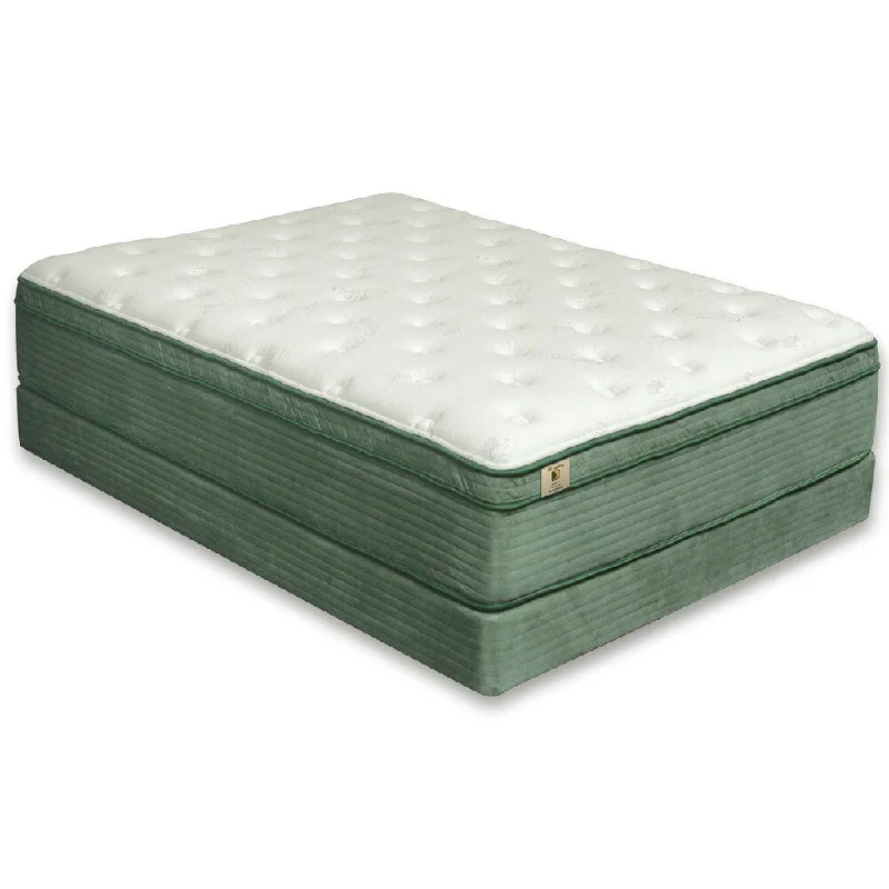 Furniture of America Dreamax 15.5-inch King-size Euro Top Mattress