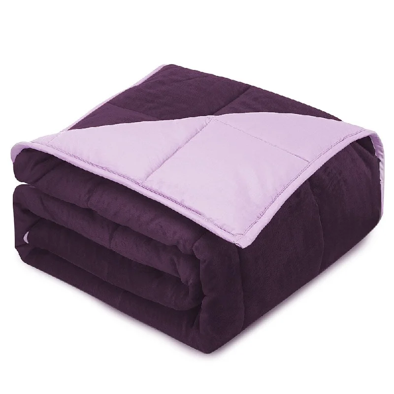 Nestl Reversible Plush Microfiber Weighted Kids Blanket